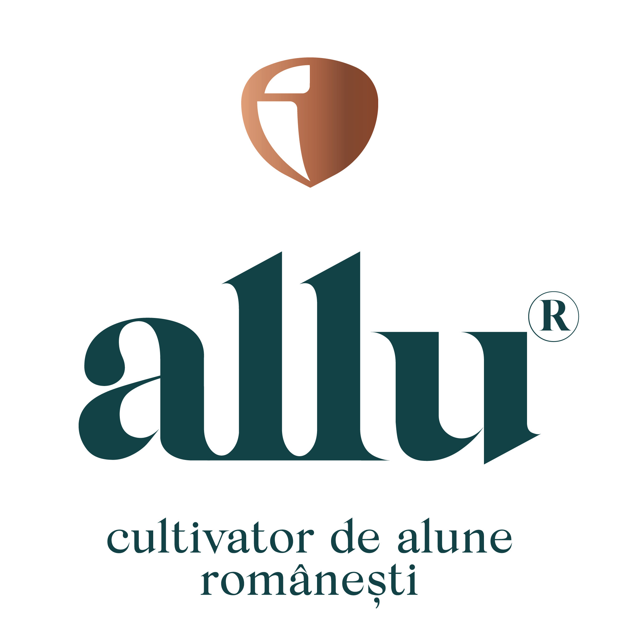 allu.ro