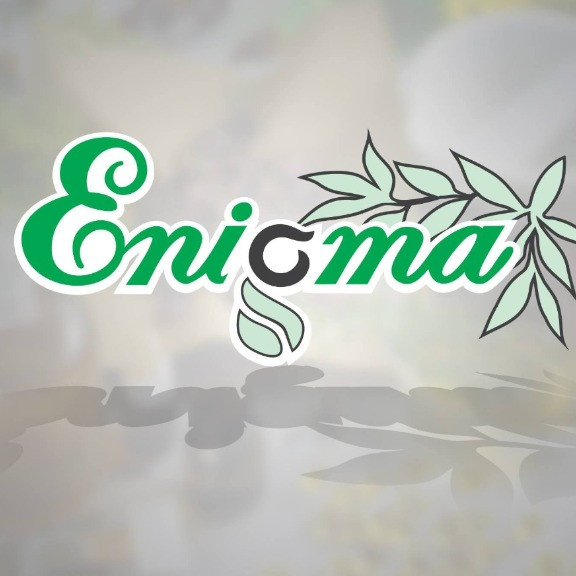 enigma-plant.ro