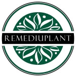 remediuplant.ro